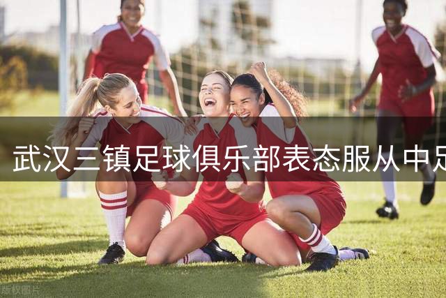 武汉三镇足球俱乐部表态服从中足联纪律处分决定